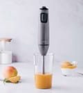 Lacor TitanPro stavblender