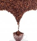 Kaffemaskine med termokande