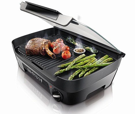 bordgrill test