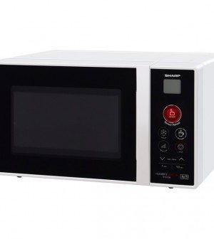 Sharp R291BKW-2